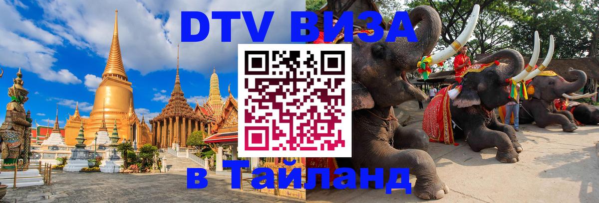 Оформление DTV визы под ключ: стоимость и тарифы, только загранпаспорт - 